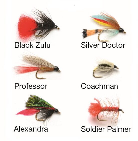 Darts SLAPJĀS MUŠAS